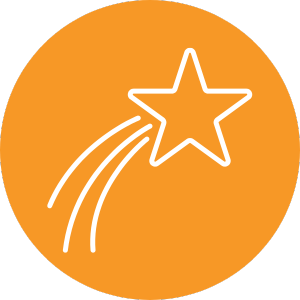 Branding Reason Star